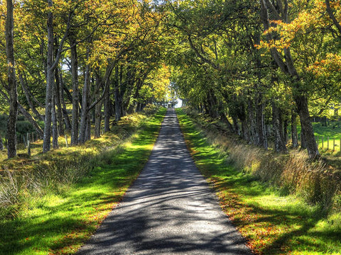 Country Road 21 Black Modern Wood Framed Art Print by Lee, Rachel