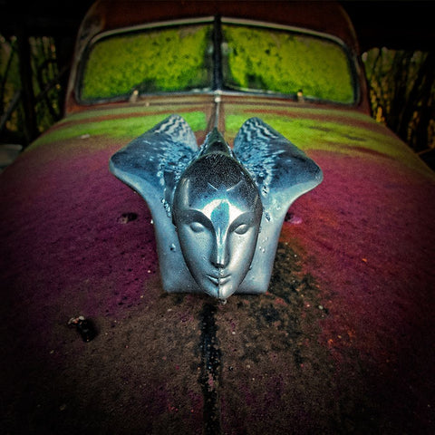 Eyes Wide Shut Black Ornate Wood Framed Art Print with Double Matting by Lee, Rachel