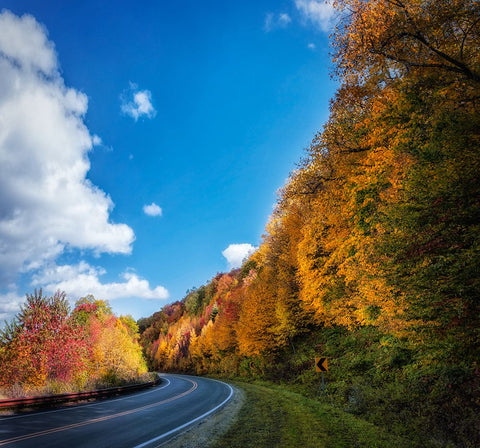 Fall Curve Black Modern Wood Framed Art Print by Lee, Rachel