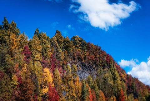 Fall Ridge Black Modern Wood Framed Art Print by Lee, Rachel