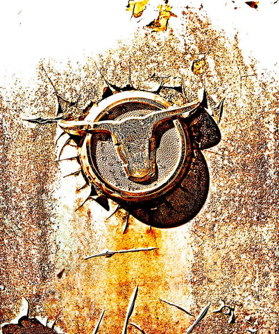 Longhorn White Modern Wood Framed Art Print with Double Matting by Lee, Rachel