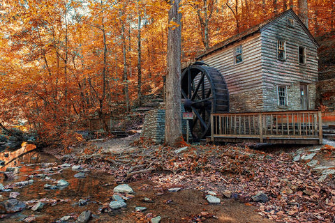 Smokies Grist Mill Fall White Modern Wood Framed Art Print with Double Matting by Lee, Rachel
