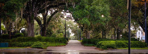 Chain of Parks Rain Black Ornate Wood Framed Art Print with Double Matting by Malone, Will