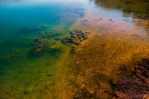 One Man’s Trash White Modern Wood Framed Art Print with Double Matting by Malone, Will