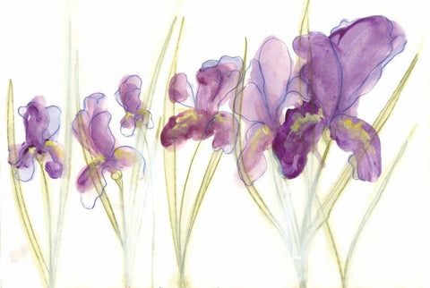 Spring Garden IV White Modern Wood Framed Art Print with Double Matting by Adkin, Arielle