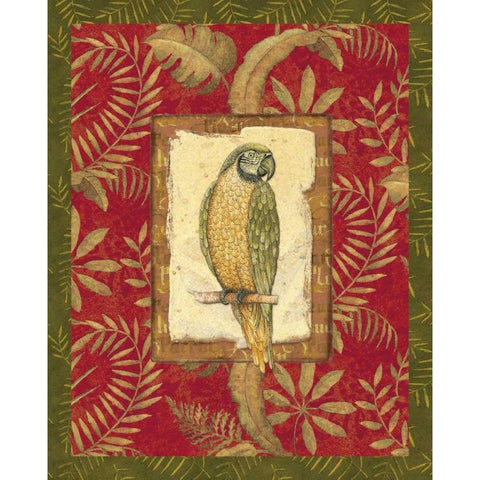 Exotica Parrot Black Modern Wood Framed Art Print with Double Matting by Audrey, Charlene