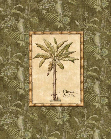 Vintage Palm IV White Modern Wood Framed Art Print with Double Matting by Audrey, Charlene