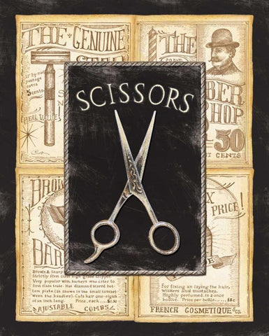Grooming Scissors White Modern Wood Framed Art Print with Double Matting by Audrey, Charlene