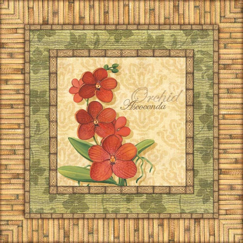 Bright Orchids I White Modern Wood Framed Art Print with Double Matting by Audrey, Charlene