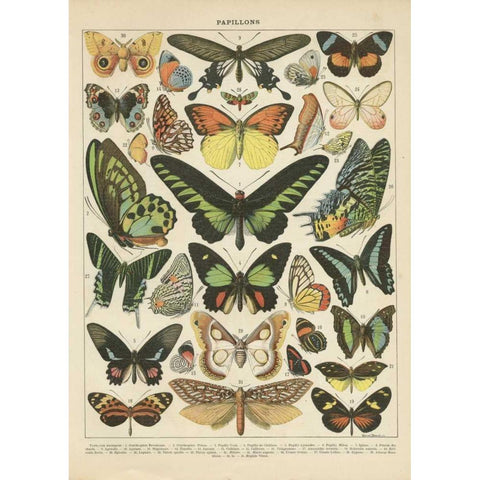 Papillons II Gold Ornate Wood Framed Art Print with Double Matting by Babbitt, Gwendolyn