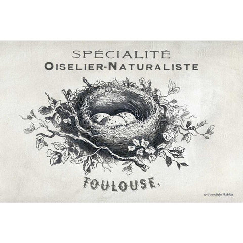 French Bird Nest II White Modern Wood Framed Art Print by Babbitt, Gwendolyn