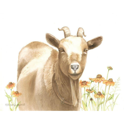 Daisy Goat White Modern Wood Framed Art Print by Babbitt, Gwendolyn