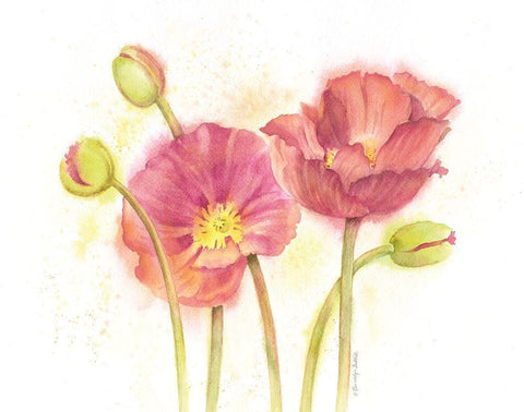 Happy Poppies White Modern Wood Framed Art Print with Double Matting by Babbitt, Gwendolyn