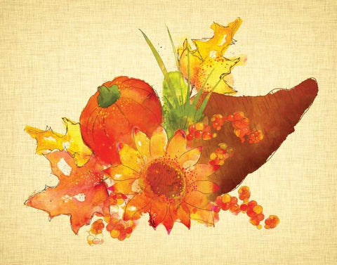 Cornucopia White Modern Wood Framed Art Print with Double Matting by Berrenson, Sara