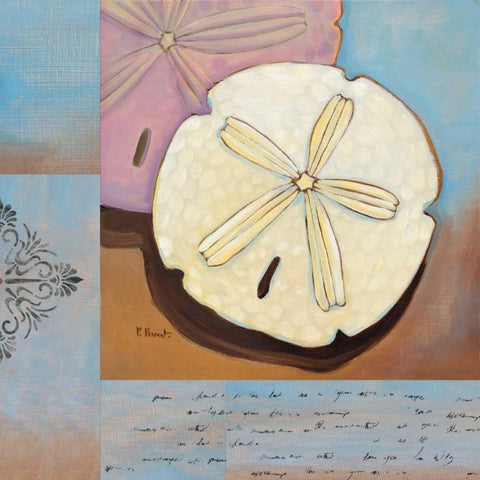 Sanibel Sand Dollar Black Modern Wood Framed Art Print with Double Matting by Brent, Paul