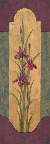 Greek Iris II White Modern Wood Framed Art Print with Double Matting by Brent, Paul