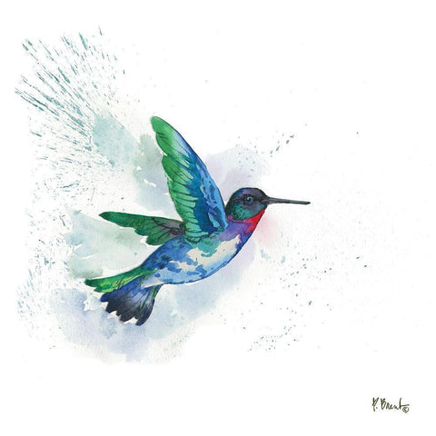Arianna Hummingbird I Black Ornate Wood Framed Art Print with Double Matting by Brent, Paul