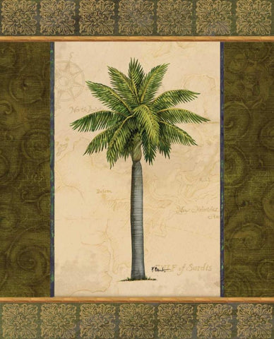 East Indies Palm II White Modern Wood Framed Art Print with Double Matting by Brent, Paul