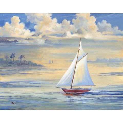 Bay of Palms Black Modern Wood Framed Art Print with Double Matting by Brent, Paul