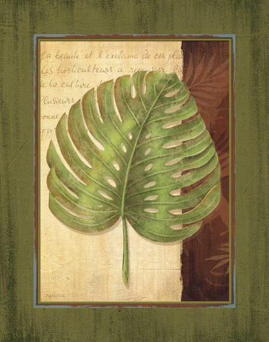 Palm Tropical IV White Modern Wood Framed Art Print with Double Matting by Corbin, Delphine