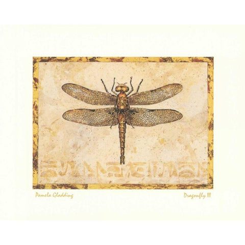 Dragonfly III Gold Ornate Wood Framed Art Print with Double Matting by Gladding, Pamela