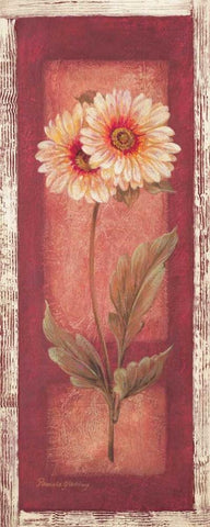 Red Door Gaillardia White Modern Wood Framed Art Print with Double Matting by Gladding, Pamela