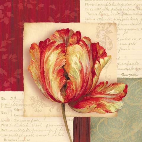 Bella Donna I White Modern Wood Framed Art Print by Gladding, Pamela