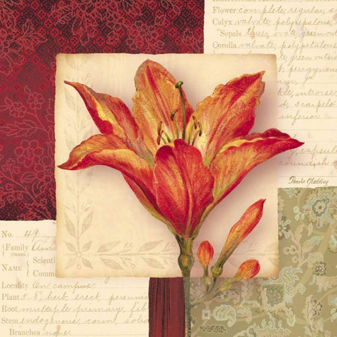 Bella Donna IV Gold Ornate Wood Framed Art Print with Double Matting by Gladding, Pamela