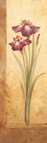 Grandiflora I Black Ornate Wood Framed Art Print with Double Matting by Gladding, Pamela