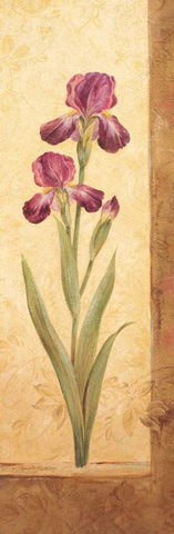 Grandiflora II White Modern Wood Framed Art Print with Double Matting by Gladding, Pamela
