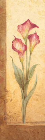 Grandiflora III White Modern Wood Framed Art Print with Double Matting by Gladding, Pamela
