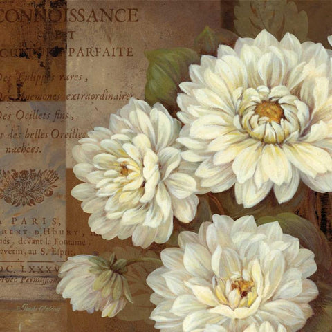 Patina Dahlia White Modern Wood Framed Art Print by Gladding, Pamela
