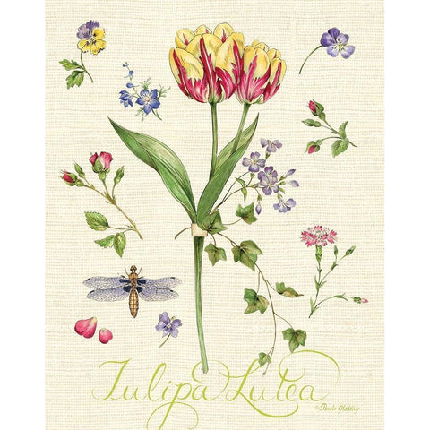 Lang of Flowers I Gold Ornate Wood Framed Art Print with Double Matting by Gladding, Pamela