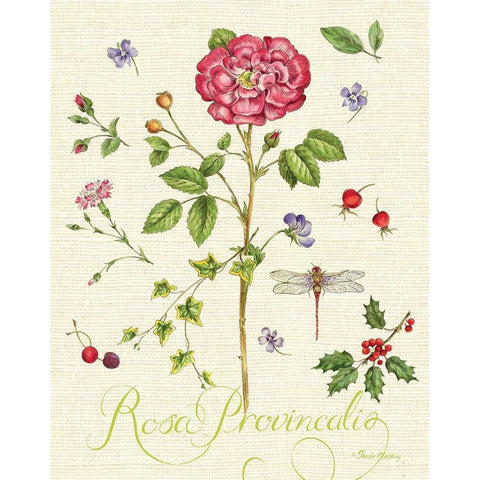 Lang of Flowers II Gold Ornate Wood Framed Art Print with Double Matting by Gladding, Pamela