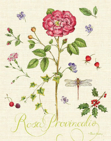 Lang of Flowers II Black Ornate Wood Framed Art Print with Double Matting by Gladding, Pamela