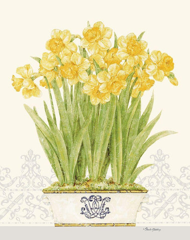 Imperial Daffodils White Modern Wood Framed Art Print with Double Matting by Gladding, Pamela