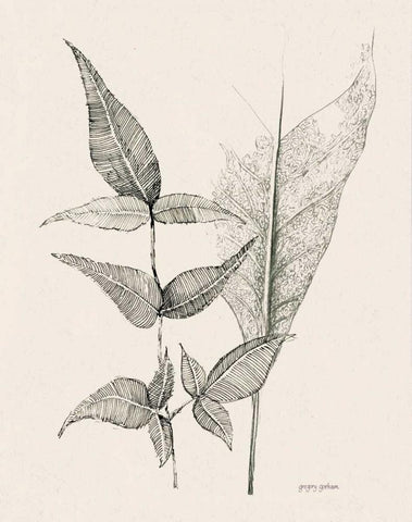 Plant Life I White Modern Wood Framed Art Print with Double Matting by Gorham, Gregory