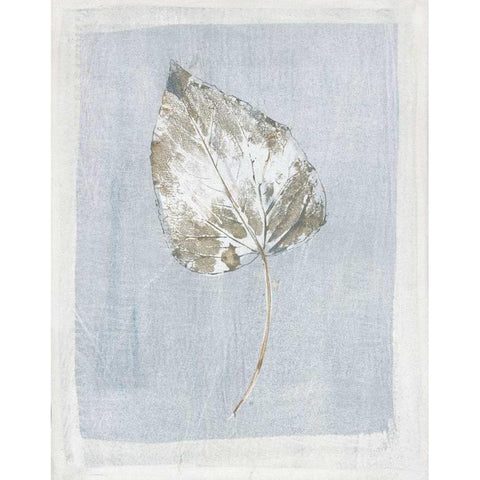 Winter Leaf II White Modern Wood Framed Art Print by Hargittai, Paul