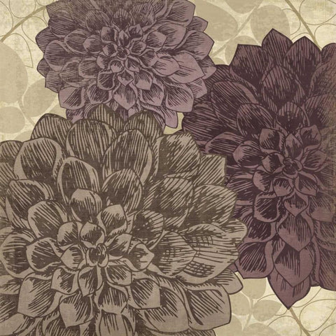 Dahlia II Black Modern Wood Framed Art Print with Double Matting by Harbick, N