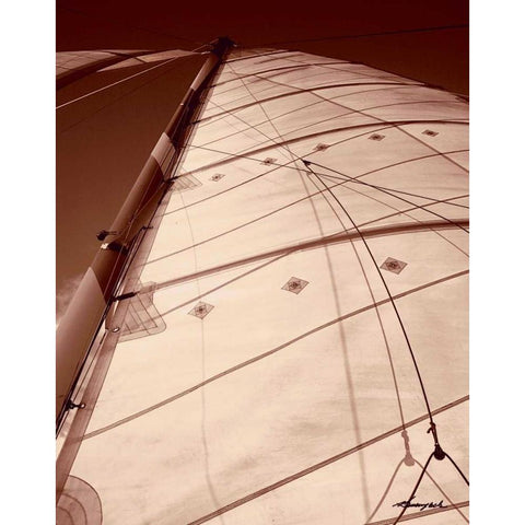 Windward Sail I Black Modern Wood Framed Art Print with Double Matting by Hausenflock, Alan