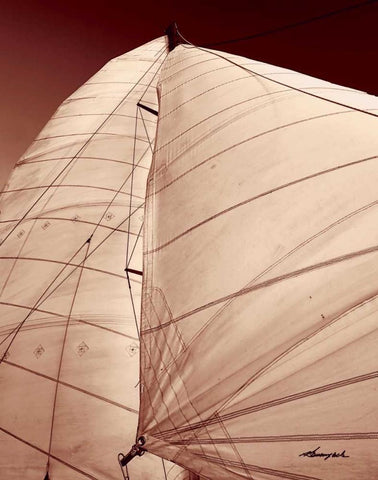 Windward Sail III Black Ornate Wood Framed Art Print with Double Matting by Hausenflock, Alan