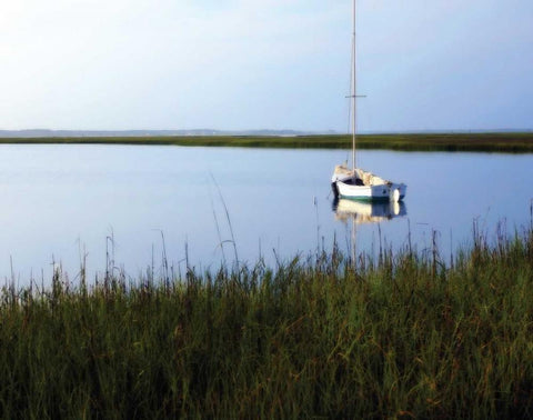 Serene Morning I Black Ornate Wood Framed Art Print with Double Matting by Hausenflock, Alan