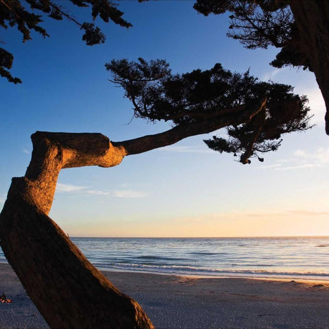 Carmel Sunset I White Modern Wood Framed Art Print by Hausenflock, Alan