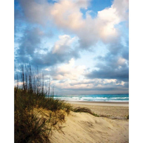 Cotton Candy Sunrise I Black Modern Wood Framed Art Print by Hausenflock, Alan