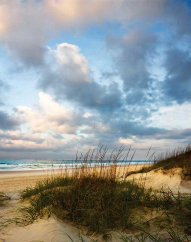 Cotton Candy Sunrise II Black Ornate Wood Framed Art Print with Double Matting by Hausenflock, Alan