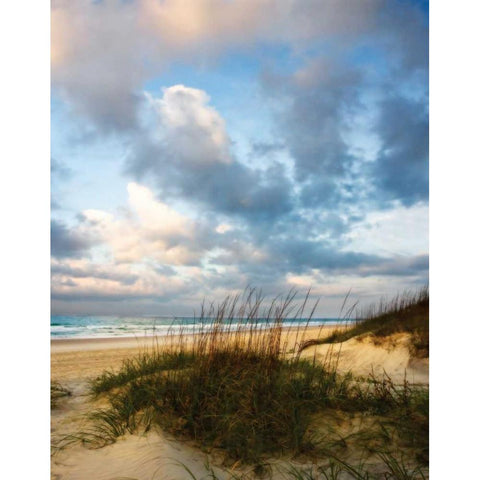 Cotton Candy Sunrise II White Modern Wood Framed Art Print by Hausenflock, Alan