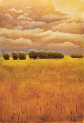 Golden Fields I White Modern Wood Framed Art Print with Double Matting by Girard, Thomas
