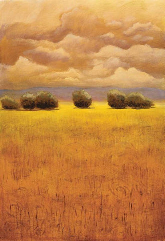 Golden Fields II Black Ornate Wood Framed Art Print with Double Matting by Girard, Thomas