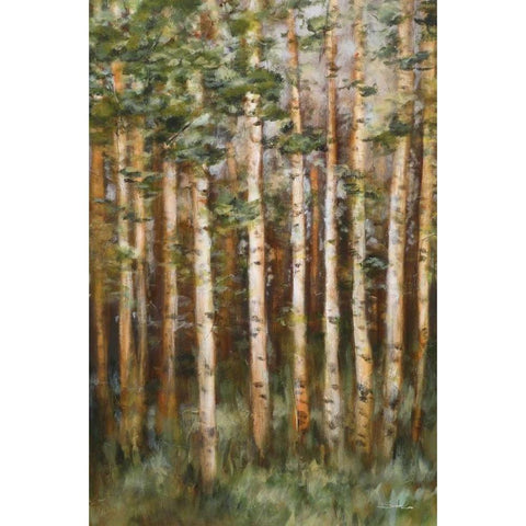 Aspen Beauty III Gold Ornate Wood Framed Art Print with Double Matting by Lee, Scott