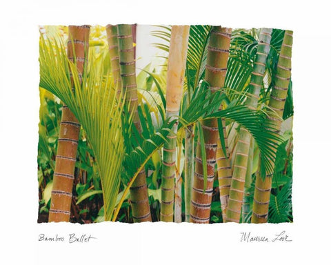 Bamboo Ballet White Modern Wood Framed Art Print with Double Matting by Love, Maureen